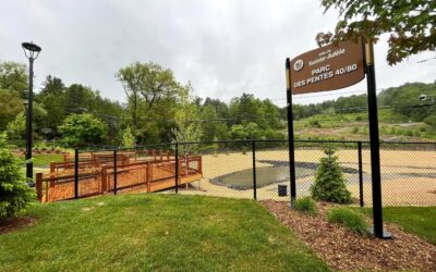 Comment assurer un bon drainage des espaces verts